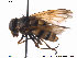  ( - NorSy362)  @13 [ ] CreativeCommons - Attribution Non-Commercial Share-Alike (2012) NTNU Museum of Natural History and Archaeology NTNU Museum of Natural History and Archaeology