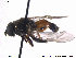 ( - NorSy364)  @12 [ ] CreativeCommons - Attribution Non-Commercial Share-Alike (2012) NTNU Museum of Natural History and Archaeology NTNU Museum of Natural History and Archaeology