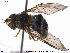  ( - NorSy376)  @13 [ ] CreativeCommons - Attribution Non-Commercial Share-Alike (2012) NTNU Museum of Natural History and Archaeology NTNU Museum of Natural History and Archaeology