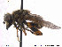  ( - NorSy379)  @13 [ ] CreativeCommons - Attribution Non-Commercial Share-Alike (2012) NTNU Museum of Natural History and Archaeology NTNU Museum of Natural History and Archaeology