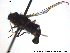  ( - NorSy381)  @12 [ ] CreativeCommons - Attribution Non-Commercial Share-Alike (2012) NTNU Museum of Natural History and Archaeology NTNU Museum of Natural History and Archaeology