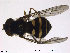  ( - NorSy402)  @12 [ ] CreativeCommons - Attribution Non-Commercial Share-Alike (2012) NTNU Museum of Natural History and Archaeology NTNU Museum of Natural History and Archaeology