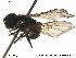  ( - NorSy417)  @13 [ ] CreativeCommons - Attribution Non-Commercial Share-Alike (2012) NTNU Museum of Natural History and Archaeology NTNU Museum of Natural History and Archaeology