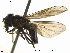  ( - NorSy419)  @12 [ ] CreativeCommons - Attribution Non-Commercial Share-Alike (2012) NTNU Museum of Natural History and Archaeology NTNU Museum of Natural History and Archaeology