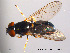 ( - NorSy46)  @11 [ ] CreativeCommons - Attribution Non-Commercial Share-Alike (2012) NTNU Museum of Natural History and Archaeology NTNU Museum of Natural History and Archaeology