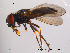  ( - NorSy48)  @13 [ ] CreativeCommons - Attribution Non-Commercial Share-Alike (2012) NTNU Museum of Natural History and Archaeology NTNU Museum of Natural History and Archaeology