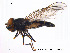  ( - NorSy59)  @13 [ ] CreativeCommons - Attribution Non-Commercial Share-Alike (2012) NTNU Museum of Natural History and Archaeology NTNU Museum of Natural History and Archaeology