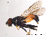  ( - NorSy60)  @14 [ ] CreativeCommons - Attribution Non-Commercial Share-Alike (2012) NTNU Museum of Natural History and Archaeology NTNU Museum of Natural History and Archaeology
