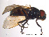  ( - NorSy65)  @12 [ ] CreativeCommons - Attribution Non-Commercial Share-Alike (2012) NTNU Museum of Natural History and Archaeology NTNU Museum of Natural History and Archaeology