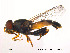  ( - NorSy74)  @13 [ ] CreativeCommons - Attribution Non-Commercial Share-Alike (2012) NTNU Museum of Natural History and Archaeology NTNU Museum of Natural History and Archaeology