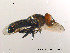  ( - NorSy85)  @13 [ ] CreativeCommons - Attribution Non-Commercial Share-Alike (2012) NTNU Museum of Natural History and Archaeology NTNU Museum of Natural History and Archaeology