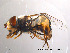  ( - NorSy88)  @13 [ ] CreativeCommons - Attribution Non-Commercial Share-Alike (2012) NTNU Museum of Natural History and Archaeology NTNU Museum of Natural History and Archaeology