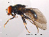 ( - NorSy90)  @13 [ ] CreativeCommons - Attribution Non-Commercial Share-Alike (2012) NTNU Museum of Natural History and Archaeology NTNU Museum of Natural History and Archaeology