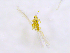  ( - NORTH_55)  @12 [ ] CreativeCommons - Attribution Non-Commercial Share-Alike (2013) Unspecified Bioforsk