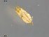  ( - KOS37)  @13 [ ] CreativeCommons - Attribution Non-Commercial Share-Alike (2011) Unspecified Bioforsk