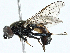 ( - BIOUG98684-B07)  @11 [ ] CreativeCommons - Attribution (2023) CBG Photography Group Centre for Biodiversity Genomics