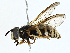  ( - BIOUG99503-D05)  @11 [ ] CreativeCommons - Attribution (2023) CBG Photography Group Centre for Biodiversity Genomics