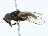  ( - BIOUG99505-A09)  @11 [ ] CreativeCommons - Attribution (2023) CBG Photography Group Centre for Biodiversity Genomics