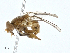  ( - BIOUG99514-E05)  @11 [ ] CreativeCommons - Attribution (2023) CBG Photography Group Centre for Biodiversity Genomics