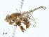  ( - BIOUG99514-F05)  @11 [ ] CreativeCommons - Attribution (2023) CBG Photography Group Centre for Biodiversity Genomics