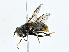  ( - CBG-A00249-B06)  @11 [ ] CreativeCommons - Attribution (2023) CBG Photography Group Centre for Biodiversity Genomics