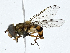 ( - CBG-A00252-F08)  @11 [ ] CreativeCommons - Attribution (2023) CBG Photography Group Centre for Biodiversity Genomics