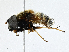  ( - CBG-A00399-F03)  @11 [ ] CreativeCommons - Attribution (2023) CBG Photography Group Centre for Biodiversity Genomics