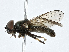  ( - CBG-A00399-F10)  @11 [ ] CreativeCommons - Attribution (2023) CBG Photography Group Centre for Biodiversity Genomics