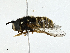  ( - CBG-A00400-H02)  @11 [ ] CreativeCommons - Attribution (2023) CBG Photography Group Centre for Biodiversity Genomics