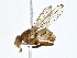  ( - CBG-A01186-B03)  @11 [ ] CreativeCommons - Attribution (2023) CBG Photography Group Centre for Biodiversity Genomics