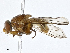  ( - CBG-A01189-D04)  @11 [ ] CreativeCommons - Attribution (2023) CBG Photography Group Centre for Biodiversity Genomics