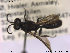  ( - NOSPH070)  @12 [ ] CreativeCommons - Attribution Non-Commercial Share-Alike (2013) Arnstein Staverlokk Norwegian Institute of Nature Research