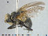  ( - NOTAC245)  @11 [ ] CreativeCommons - Attribution Non-Commercial Share-Alike (2015) NTNU University Museum, Department of Natural History NTNU University Museum, Department of Natural History
