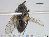  ( - NOTAC253)  @12 [ ] CreativeCommons - Attribution Non-Commercial Share-Alike (2015) NTNU University Museum, Department of Natural History NTNU University Museum, Department of Natural History