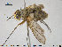  ( - NOTAC030)  @11 [ ] CreativeCommons - Attribution Non-Commercial Share-Alike (2015) NTNU University Museum, Department of Natural History NTNU University Museum, Department of Natural History