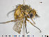  ( - NOTAC086)  @11 [ ] CreativeCommons - Attribution Non-Commercial Share-Alike (2015) NTNU University Museum, Department of Natural History NTNU University Museum, Department of Natural History