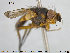  ( - NOTAC096)  @13 [ ] CreativeCommons - Attribution Non-Commercial Share-Alike (2015) NTNU University Museum, Department of Natural History NTNU University Museum, Department of Natural History