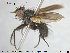  ( - NOTAC123)  @11 [ ] CreativeCommons - Attribution Non-Commercial Share-Alike (2015) NTNU University Museum, Department of Natural History NTNU University Museum, Department of Natural History