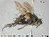  ( - NOTAC205)  @11 [ ] CreativeCommons - Attribution Non-Commercial Share-Alike (2015) NTNU University Museum, Department of Natural History NTNU University Museum, Department of Natural History