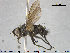  ( - NOTAC206)  @11 [ ] CreativeCommons - Attribution Non-Commercial Share-Alike (2015) NTNU University Museum, Department of Natural History NTNU University Museum, Department of Natural History