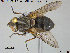  ( - NOTAC222)  @11 [ ] CreativeCommons - Attribution Non-Commercial Share-Alike (2015) NTNU University Museum, Department of Natural History NTNU University Museum, Department of Natural History