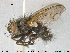  ( - NOTAC224)  @13 [ ] CreativeCommons - Attribution Non-Commercial Share-Alike (2015) NTNU University Museum, Department of Natural History NTNU University Museum, Department of Natural History