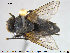  ( - NOTAC232)  @13 [ ] CreativeCommons - Attribution Non-Commercial Share-Alike (2015) NTNU University Museum, Department of Natural History NTNU University Museum, Department of Natural History