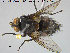  ( - NOTAC238)  @13 [ ] CreativeCommons - Attribution Non-Commercial Share-Alike (2015) NTNU University Museum, Department of Natural History NTNU University Museum, Department of Natural History