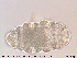  ( - Tard89)  @11 [ ] Creative Commons  Attribution Non-Commercial Share-Alike (2018) NTNU University Museum, Department of Natural History NTNU University Museum, Department of Natural History