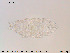  ( - Tard98)  @11 [ ] Creative Commons  Attribution Non-Commercial Share-Alike (2018) NTNU University Museum, Department of Natural History NTNU University Museum, Department of Natural History