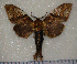  ( - dd003)  @13 [ ] Unspecified (default): All Rights Reserved  Unspecified Unspecified