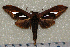  ( - dd009)  @13 [ ] Unspecified (default): All Rights Reserved  Unspecified Unspecified