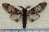  ( - dc007)  @13 [ ] Unspecified (default): All Rights Reserved  Unspecified Unspecified