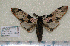 ( - dc009)  @13 [ ] Unspecified (default): All Rights Reserved  Unspecified Unspecified